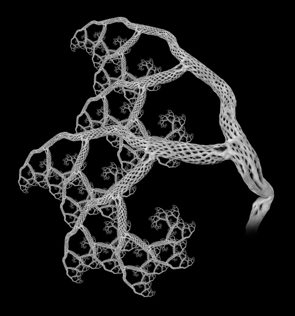 Digital art print of a photographic fractal tree, spiraling forms using cactus skeleton.